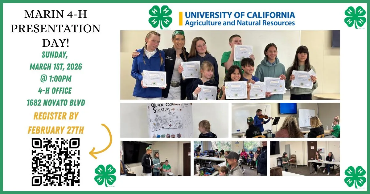 presentation day 2026