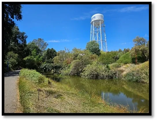 UC Davis watertower in the distance overlook of the waterway