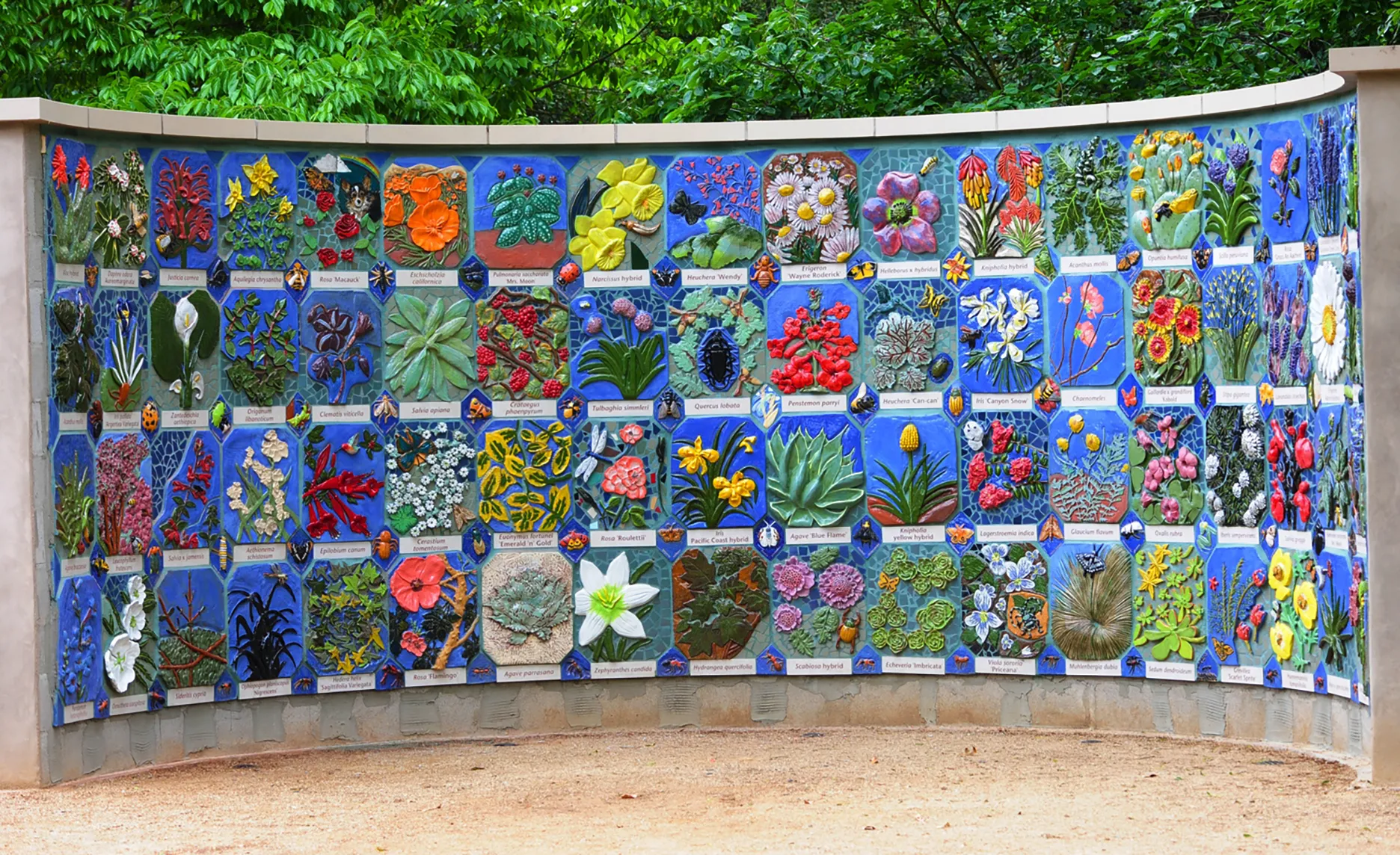 "Nature's Gallery" mural in the UC Davis Arboretum and Public Garden. (Photo by Kathy Keatley Garvey)