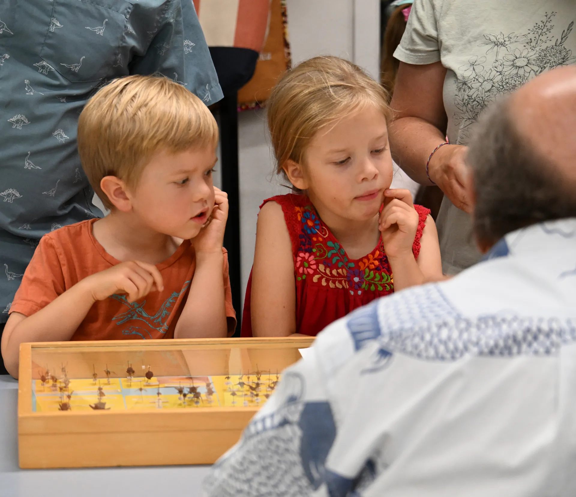 Lincoln Patton, 5, and his sister, Dorothy, 7, of Woodland are fascinated with the insect specimens. Their parents, Oliver and Sarah Patton, are both UC Davis alumni. (Photo by Kathy Keatley Garvey) 