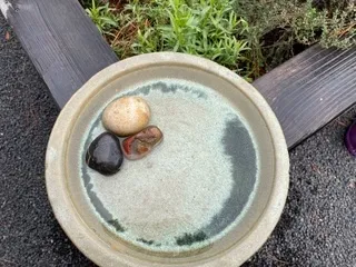 Plant Saucer made into a birdbath with the addition of small stones. 