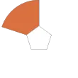 Orange CE advisor icon