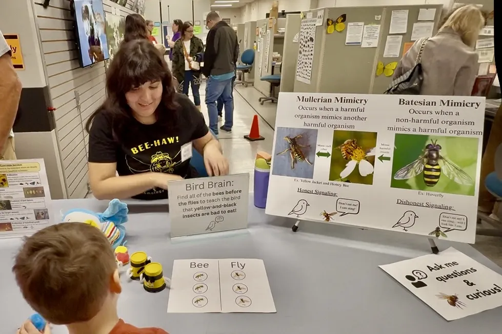 UC Davis doctoral candidate Alexia "Lexie" Martin playing the Bird Brain game that she created. (Photo by Kathy Keatley Garvey)