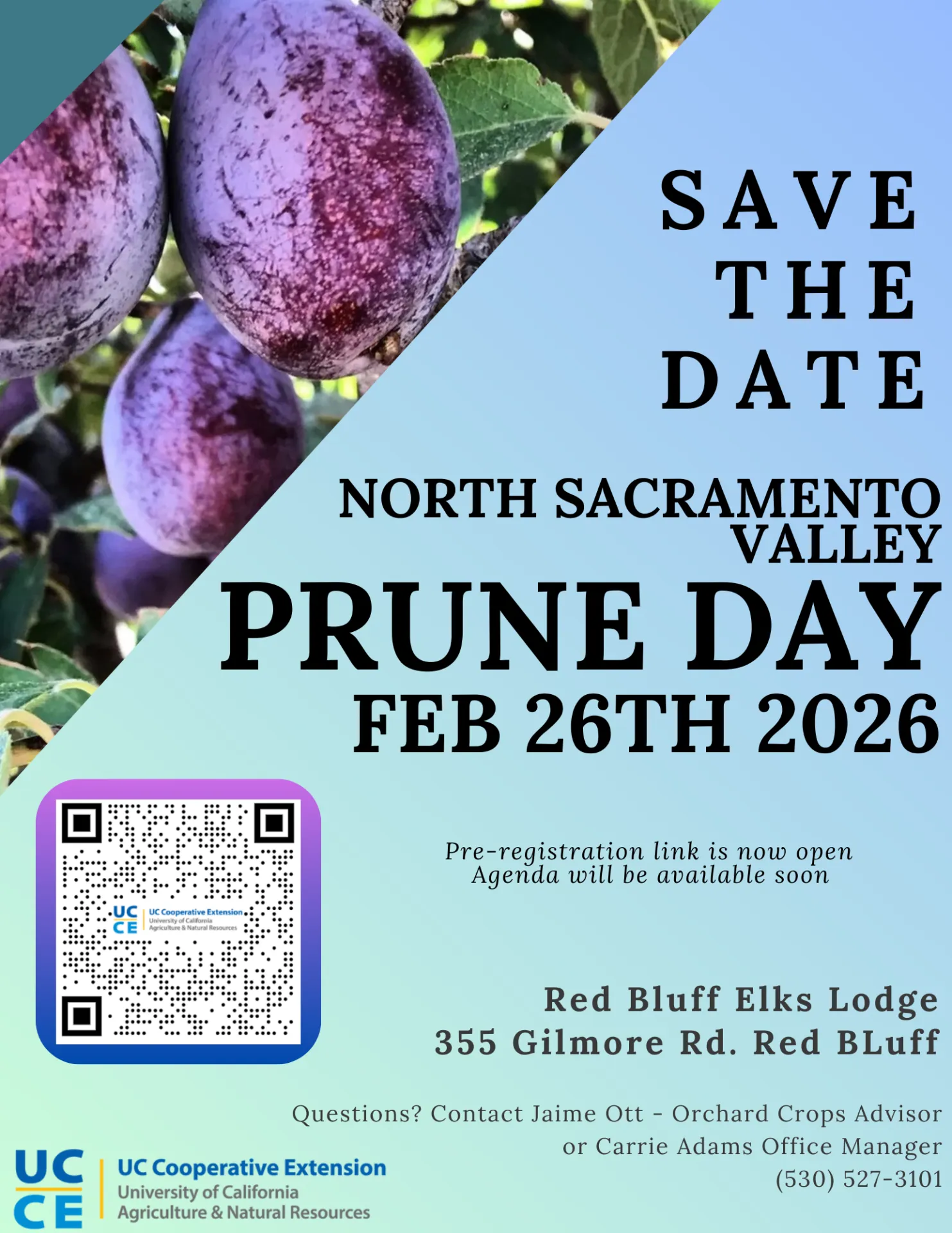 2026 Prune Day - Save the Date