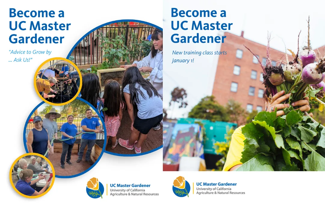 Two different web graphics for UC Master Gardeners