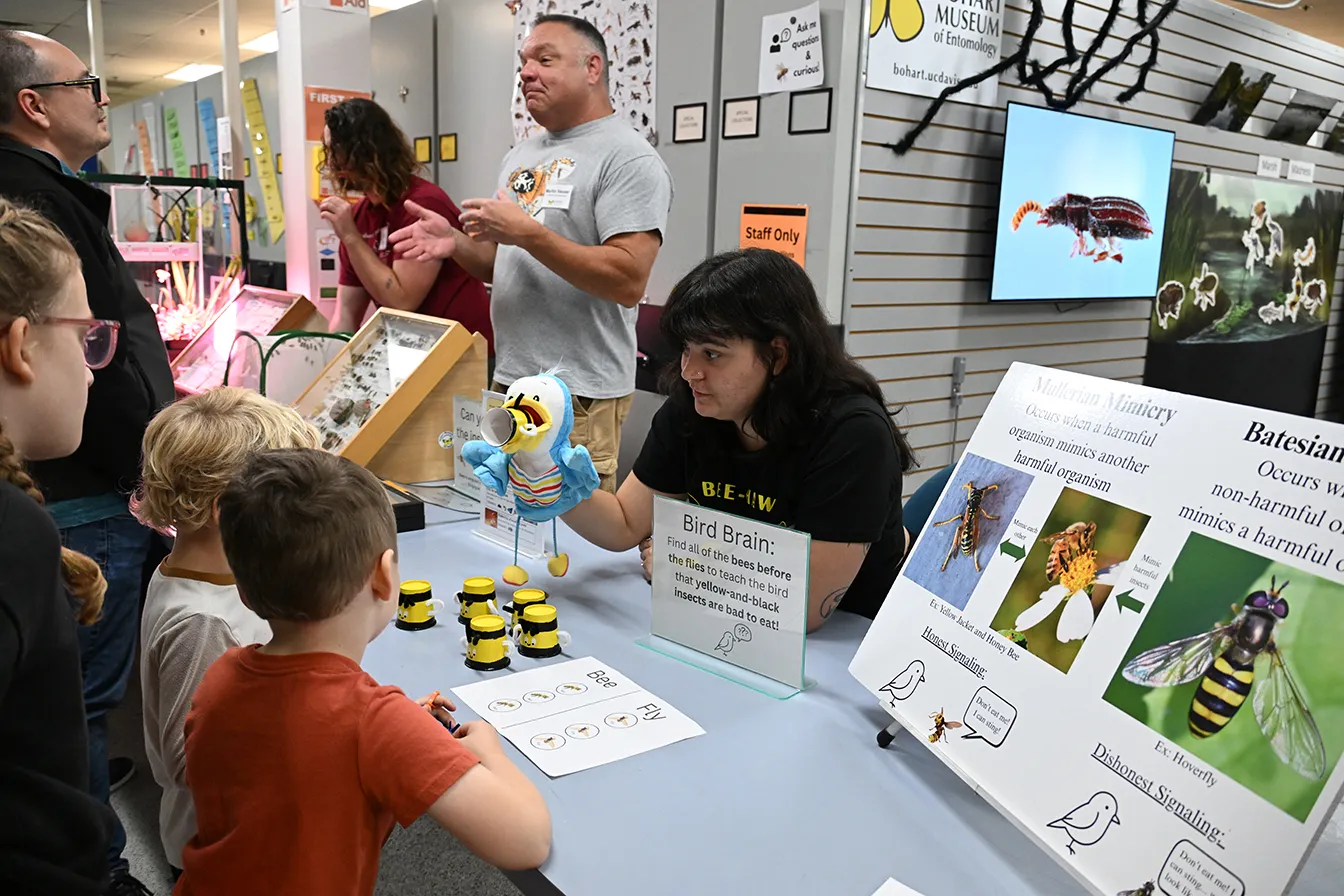 Alexia "Lexie" Martin interacts with attendees. In back are Martin Hauser of the California Department of Food and Agriculture and doctoral student Peter Coggan. (Photo by Kathy Keatley Garvey)