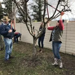 master gardeners at work