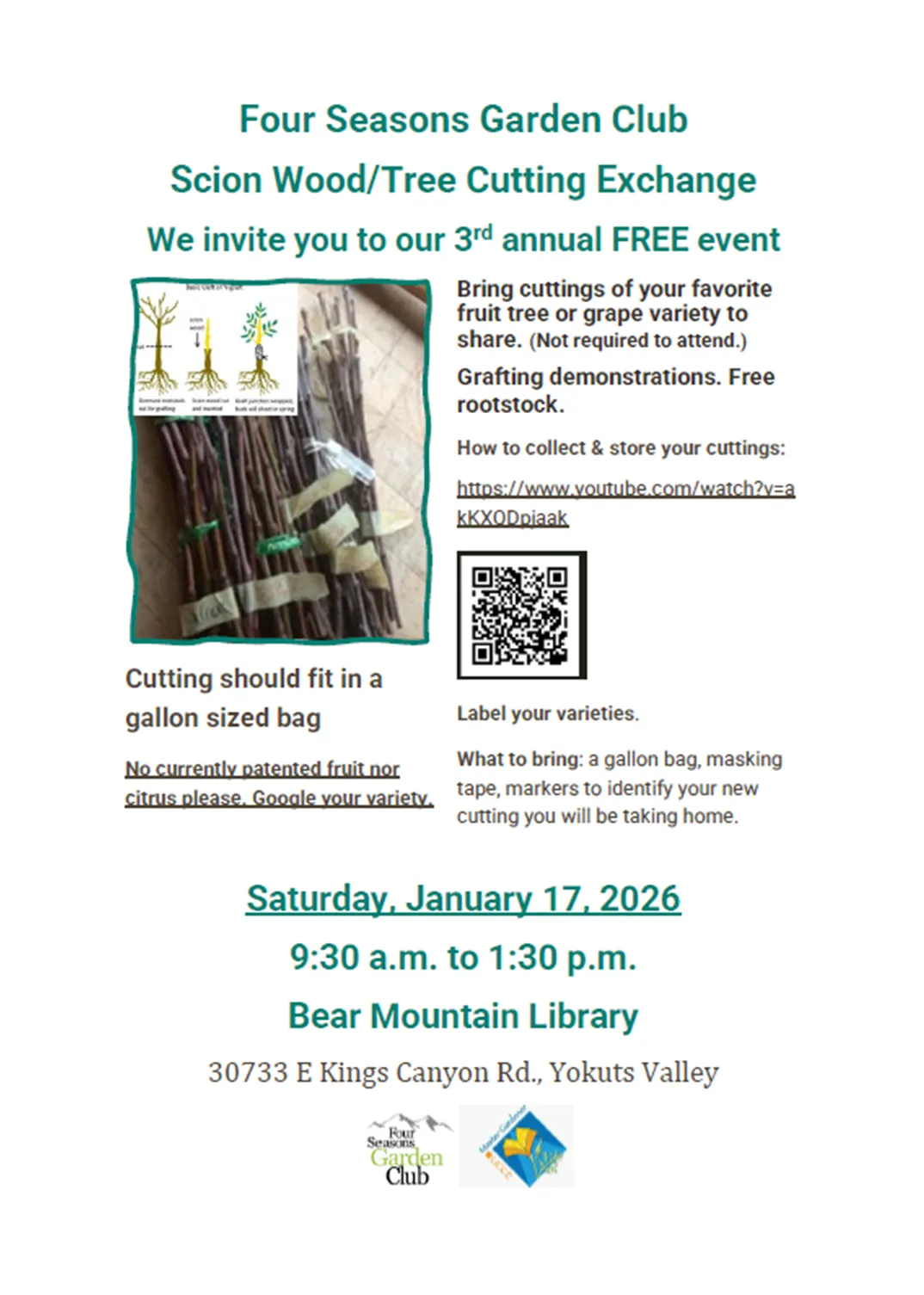 Scion cutting by the Four Season Garden Club