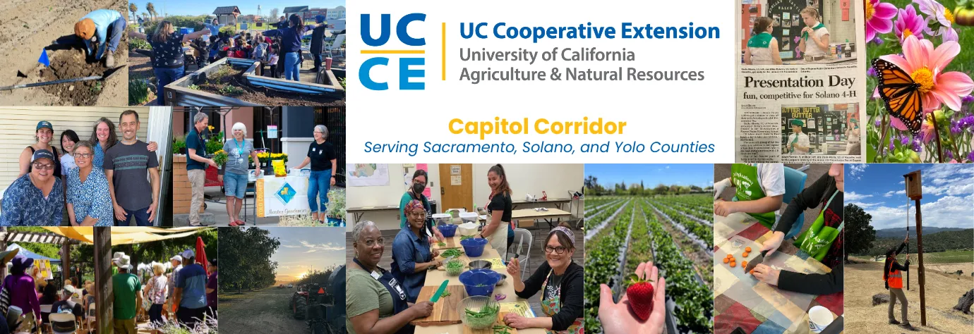 Collage of photos showing work that UCCE Capitol Corridor does with new UCCE logo