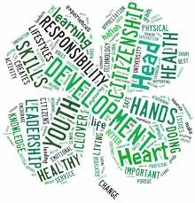 Clover with 4-H pledge inside