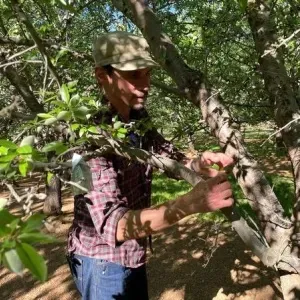 Image of Curt Allen Pierce for Contact Us