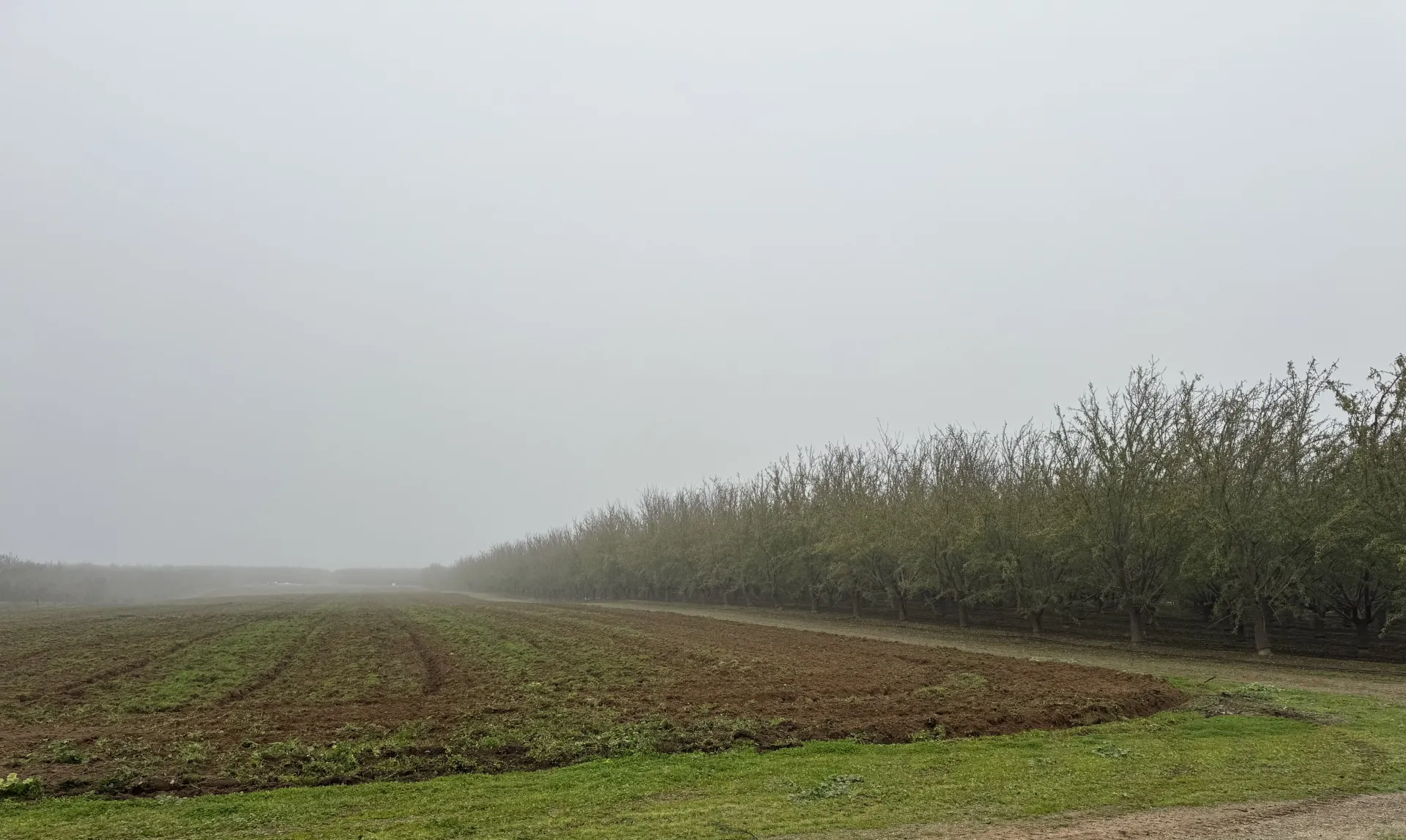 Nickels long term projects