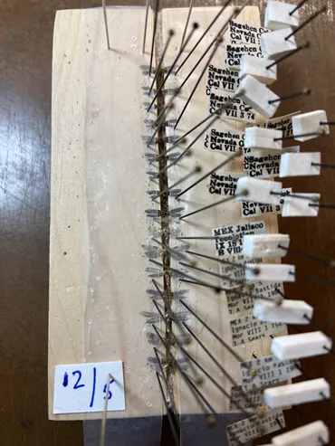 Jeff Smith's mini-board.