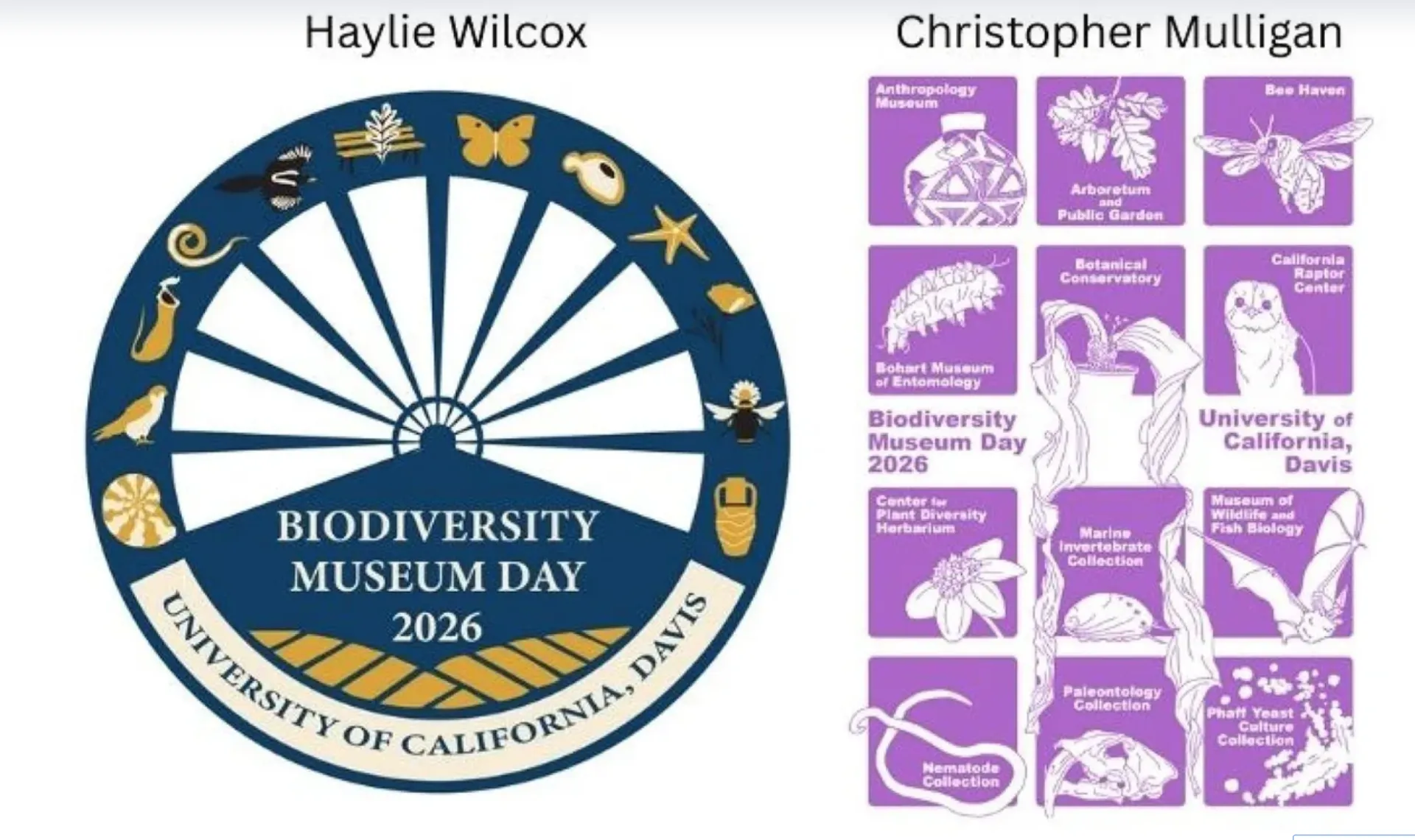 Winning designs, UC Davis Biodiversity Museum Day
