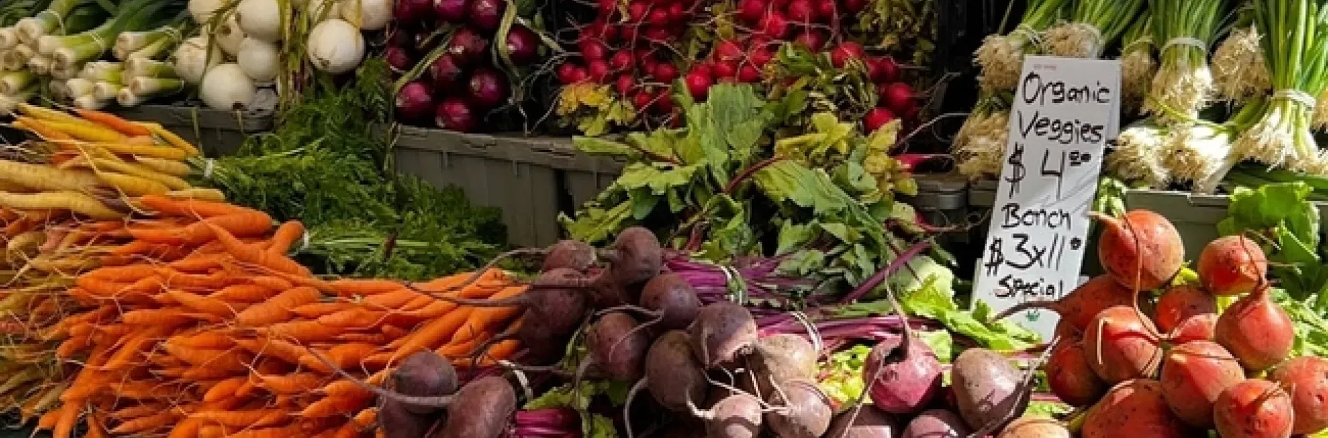 Seminarios de agricultura orgánica