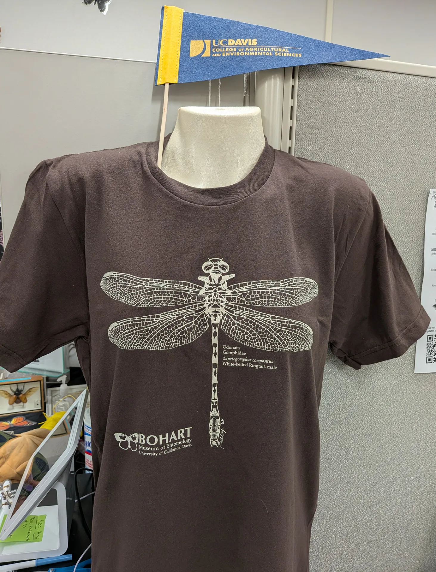 A dragonfly T-shirt in the Bohart Museum of Entomology gift shop.