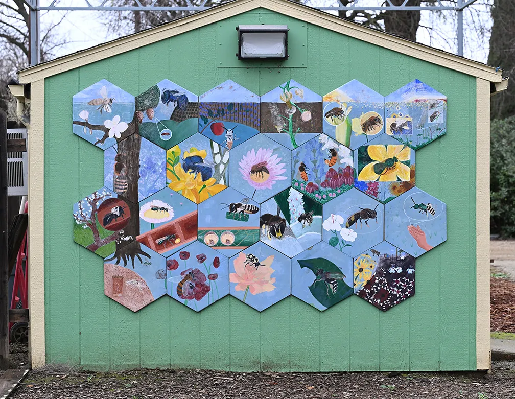 Native bee art graces the garden shed in the UC Davis Bee Haven. (Photo by Kathy Keatley Garvey)