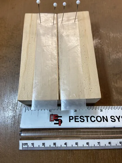 Jeff Smith's micro board, used for spreading wings of tiny insects.