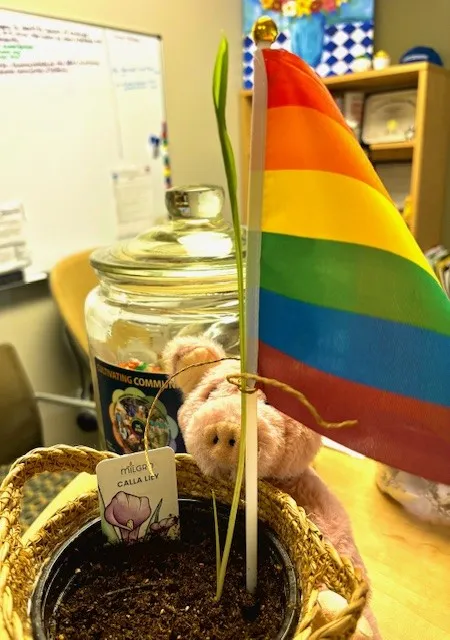 A lily plant that is just starting to sprout in a basket with a 4H stuffed pig holding it and a pride flag as a post to keep the lily growing straight