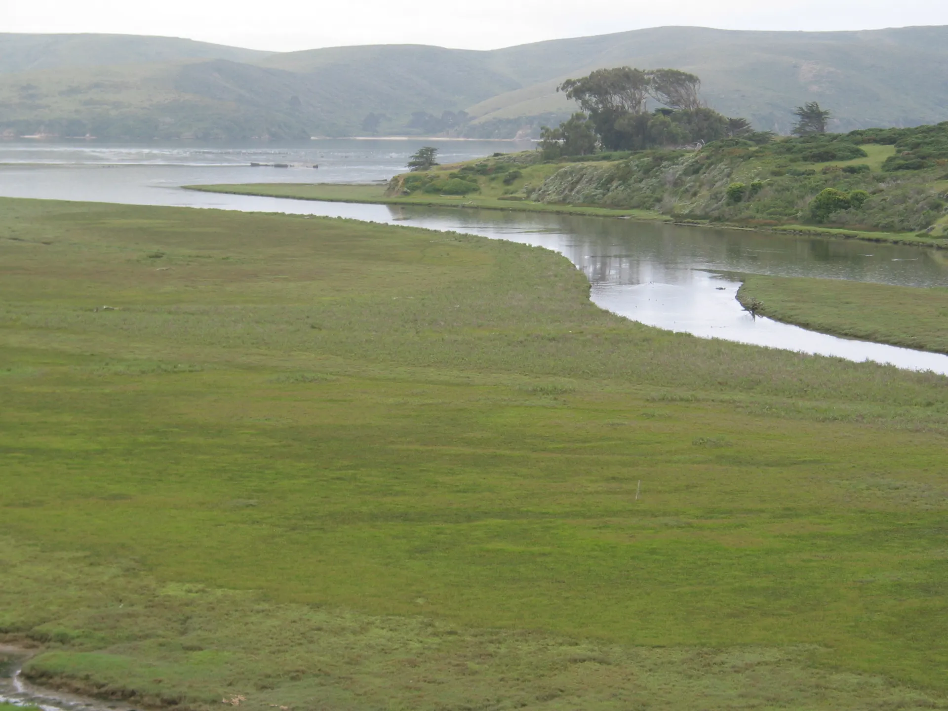 Marin watershed landscape