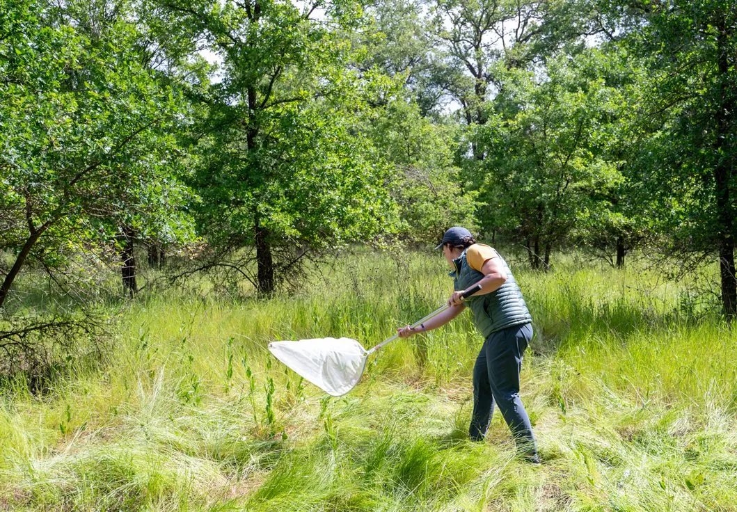 A participant in a BioBlitz. (Photo courtesy of California All-Taxa Biodiversity Inventory (CalATBI) is a voucher-based, DNA-powered effort to finally discover all of California biodiversity)