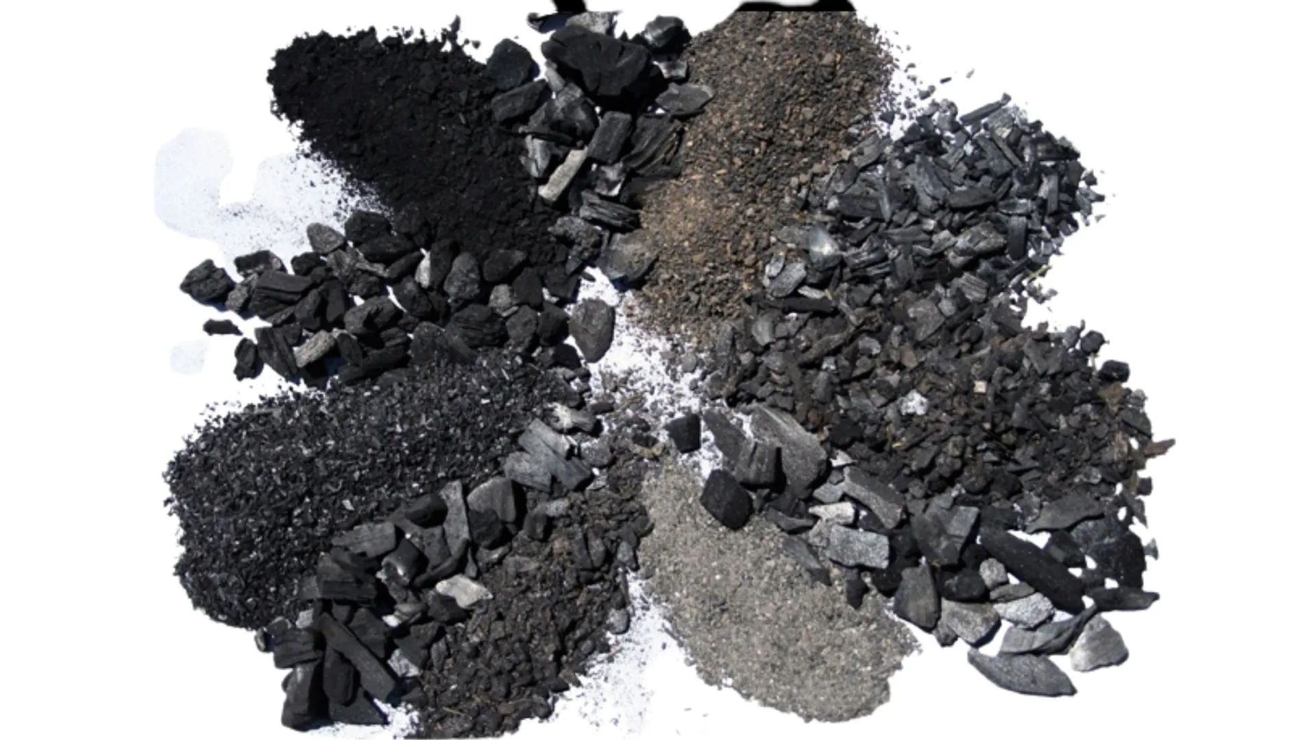 Differences seen in biochars, based on feedstock