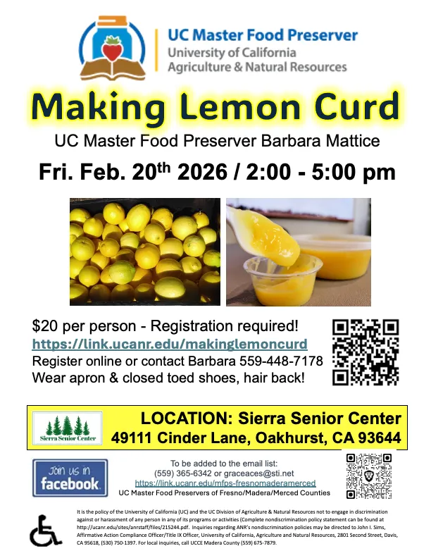 Lemon Curd Feb 20 2026 MG Oakhurst