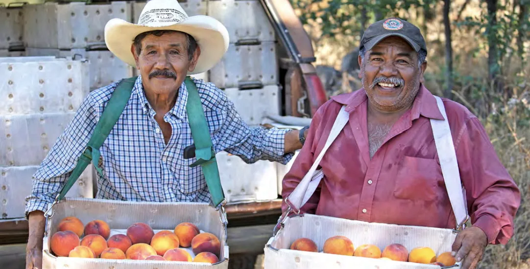 two smiling agricultural workers holding baskets of fruit 