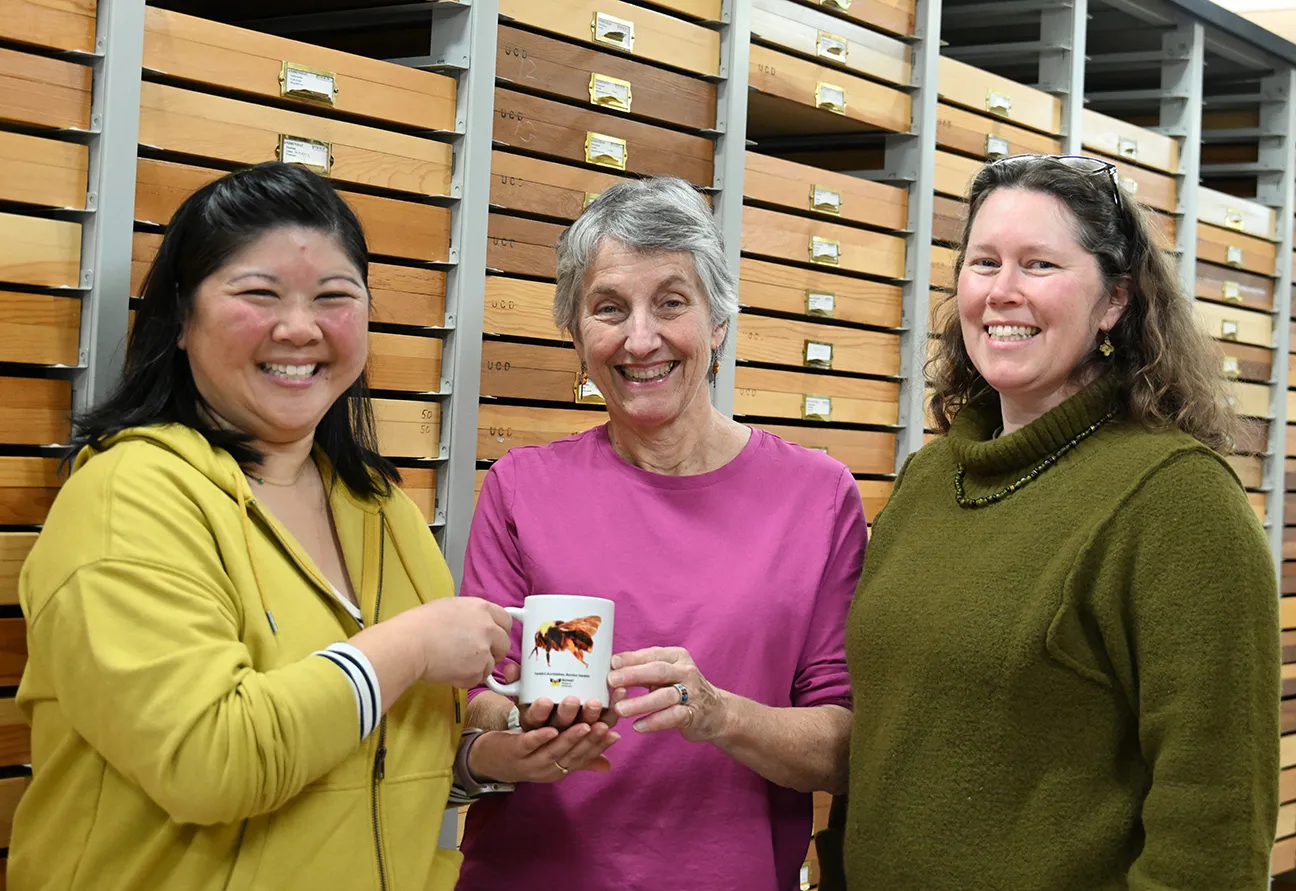 Lesley Hamamoto (left) receives the Franklin's bumble bee cup from two Bohart Museum Contest coordinators UC Davis Distinguished Professor Emerita Lynn Kimsey and Tabatha Yang, education and outreach coordinator. (Photo by Kathy Keatley Garvey)
