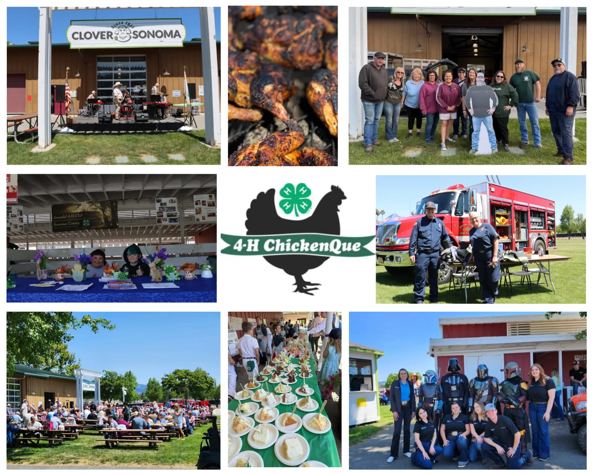 CknQue website .png