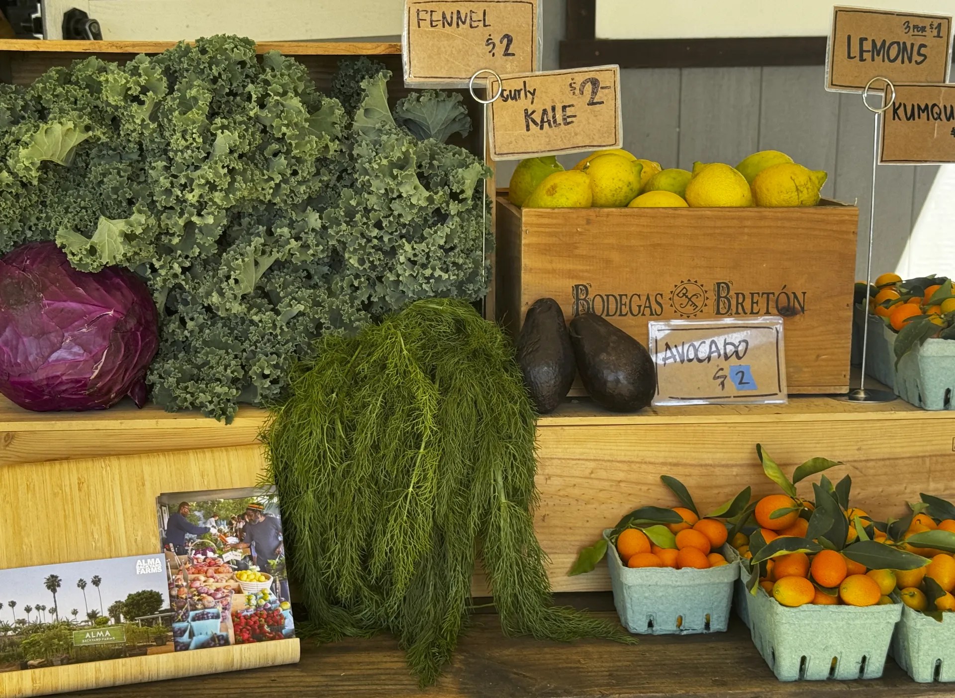 Repollo morado, cilantro, limones y otros vegetales de venta 