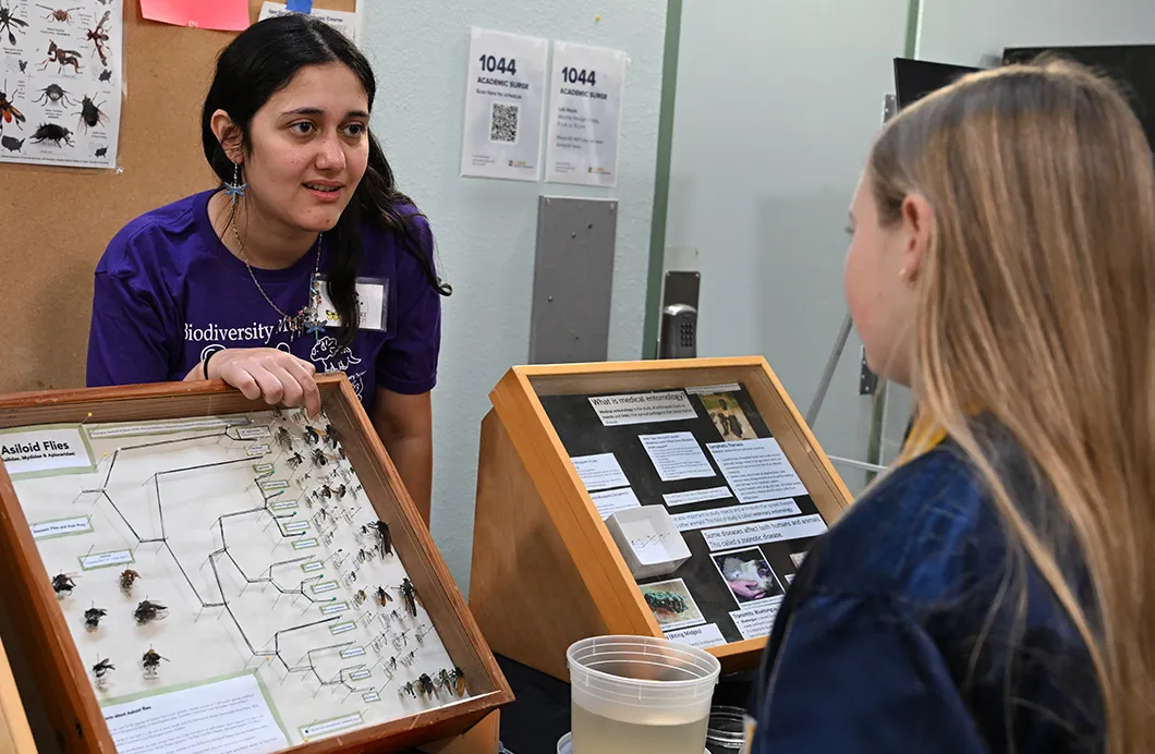 Doctoral candidate Carla-Cristina “CC” Edwards of the Geoffrey Attardo lab answers questions about flies at the 2025 UC Davis Biodiversity Museum Day. This year's BioDiv Day is Feb. 21. (Photo by Kathy Keatley Garvey)