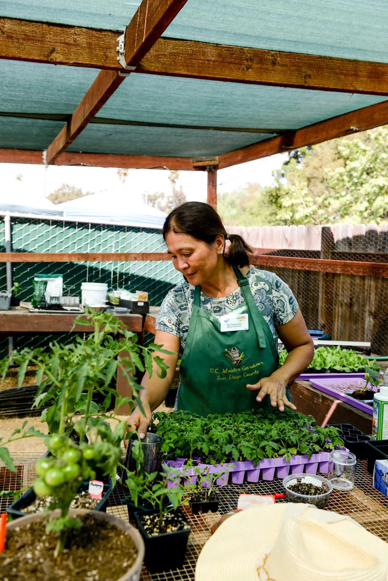 Master Gardener touching a tray of seedlings