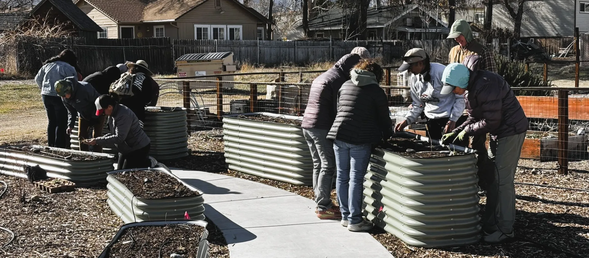 A group of people standing around metal, raised beds planting onions.