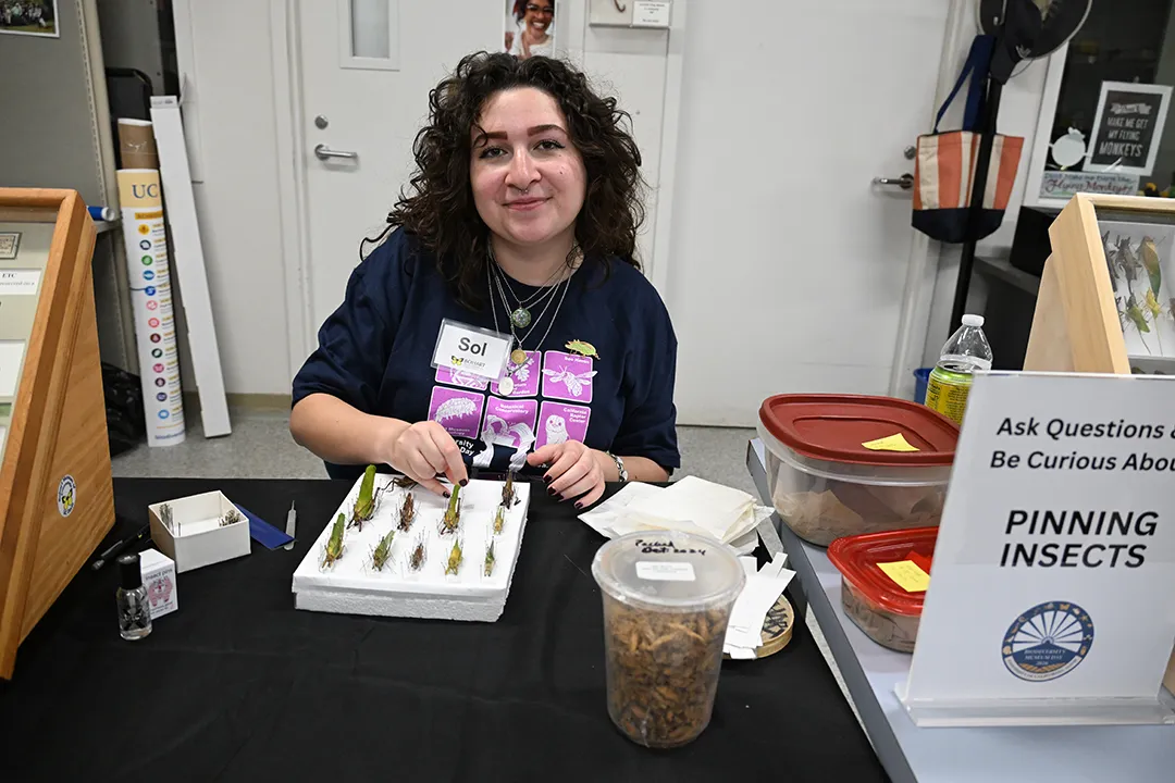 Sol Wantz, a UC Davis entomology graduate, showing how to pin insects.