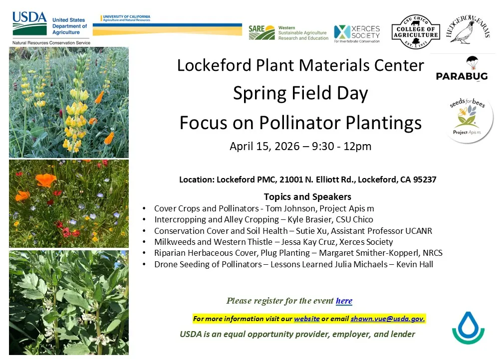 Pollination Workshop