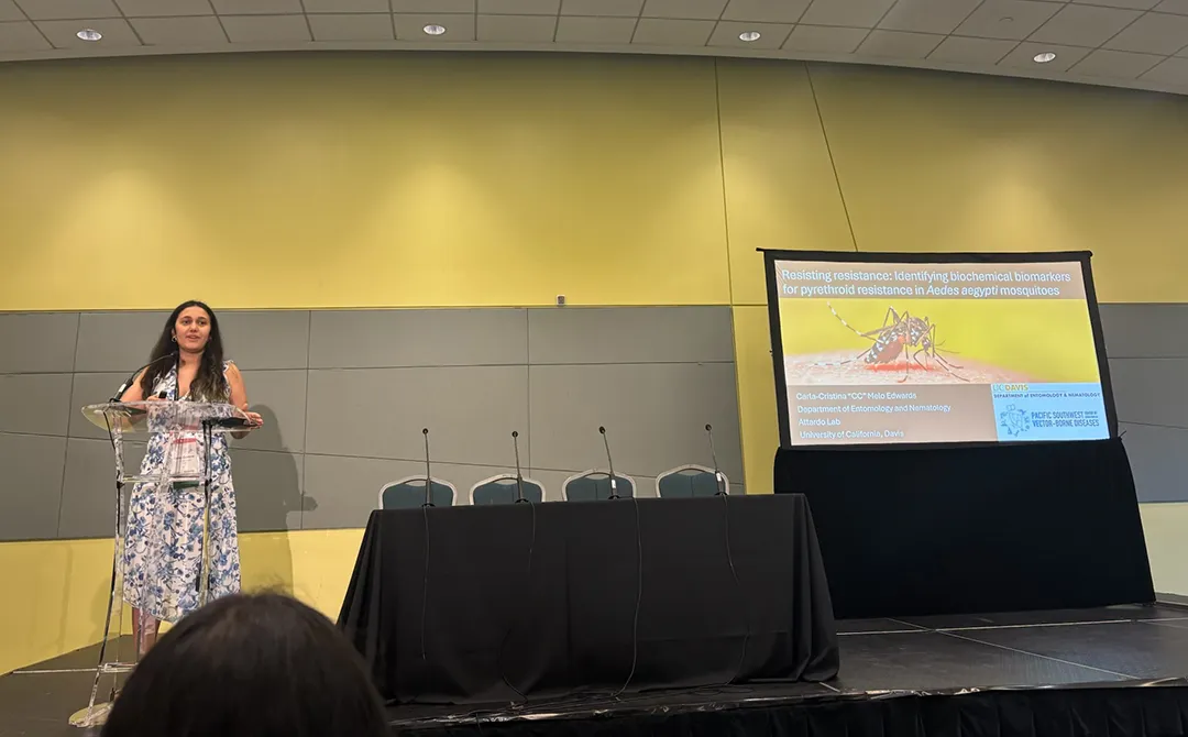 CC Edwards delivering a presentation on "Resisting Resistance: Identifying Biochemical Biomarkers for Pyrethroid Resistance in Aedes aegypti Mosquitoes" at the 2025 American Mosquito Control Association meeting