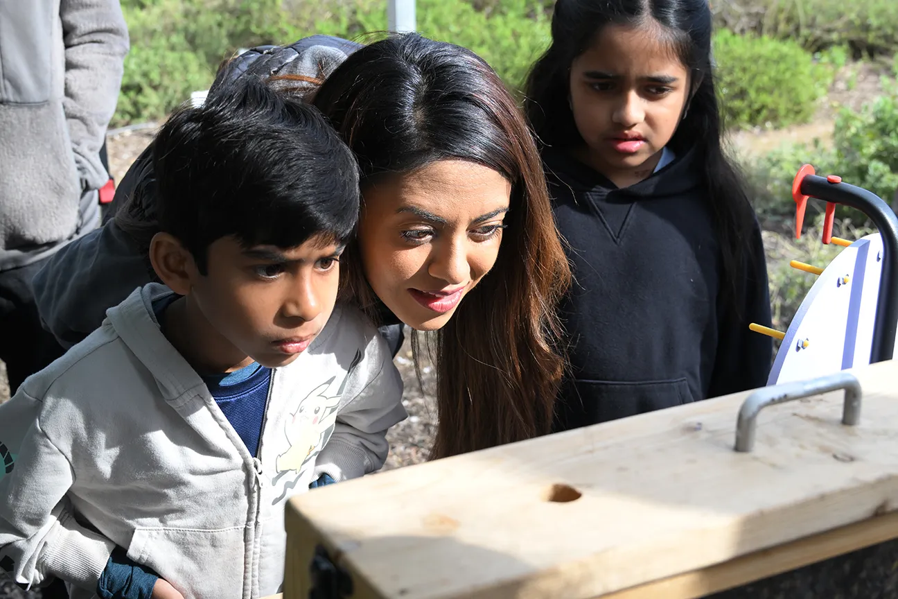 Three people looking at a bee observation hive.