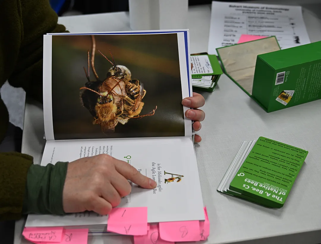 Tabatha Yang, education and outreach coordinator of the Bohart Museum of Entomology, thumbs through Krystle Hickman's book.