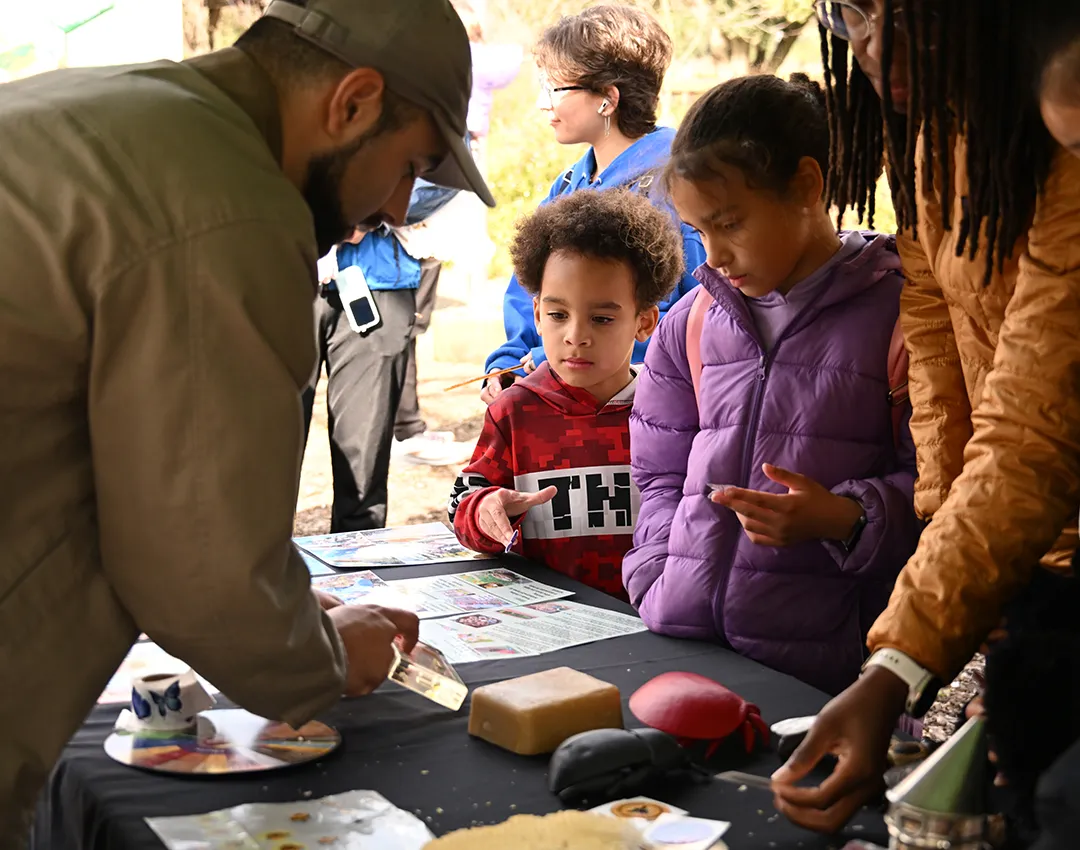 A man showing bee models to a group of people.