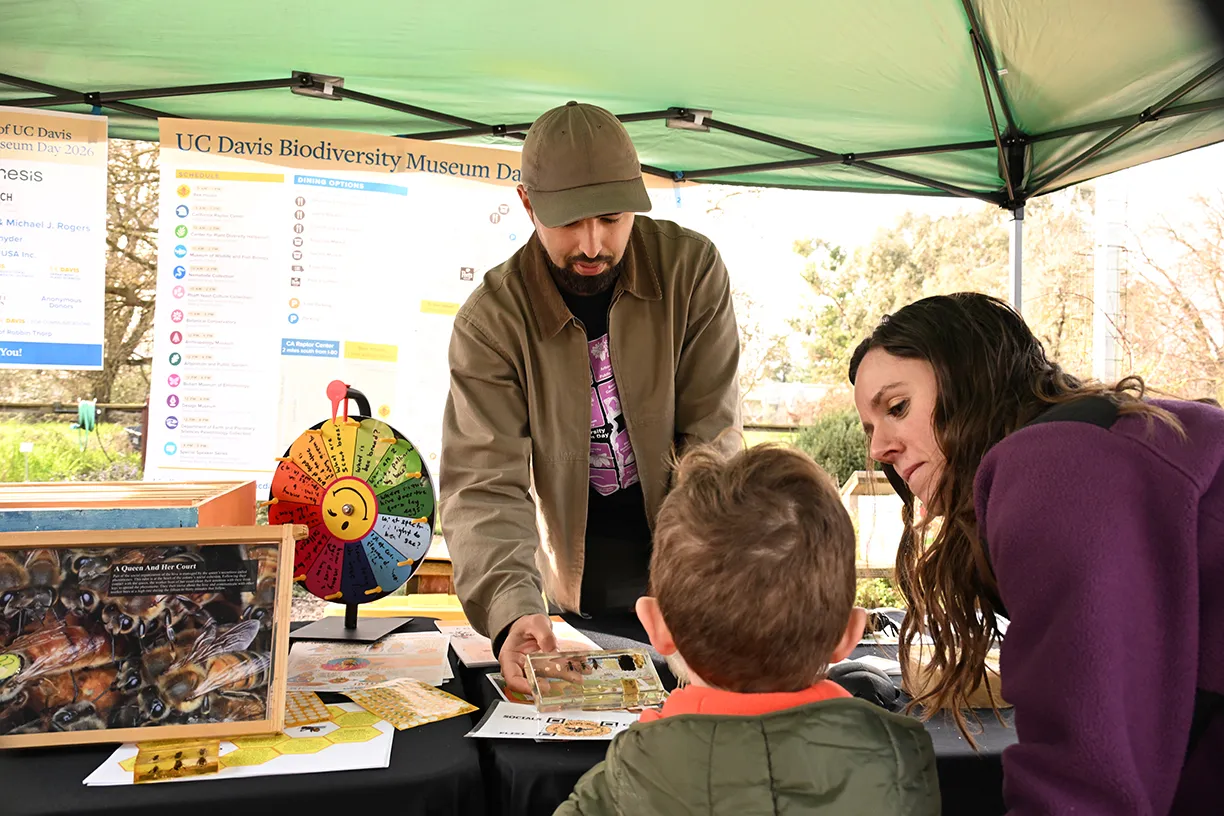 Kian Nikzad showing bee models to a woman and a boy.