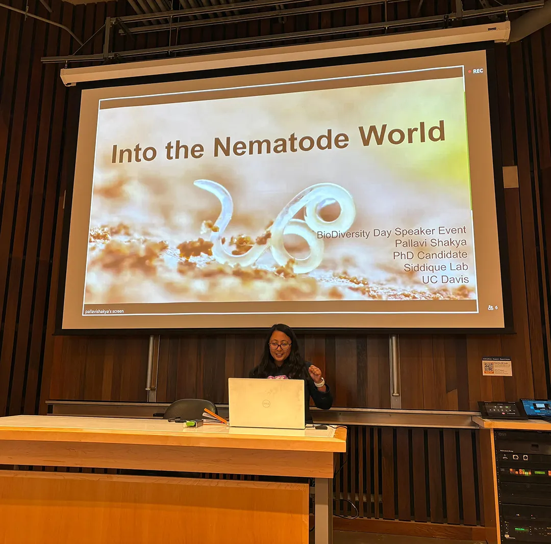 Pallavi Shakya delivering her presentation at the UC Davis Biodiversity Museum Day
