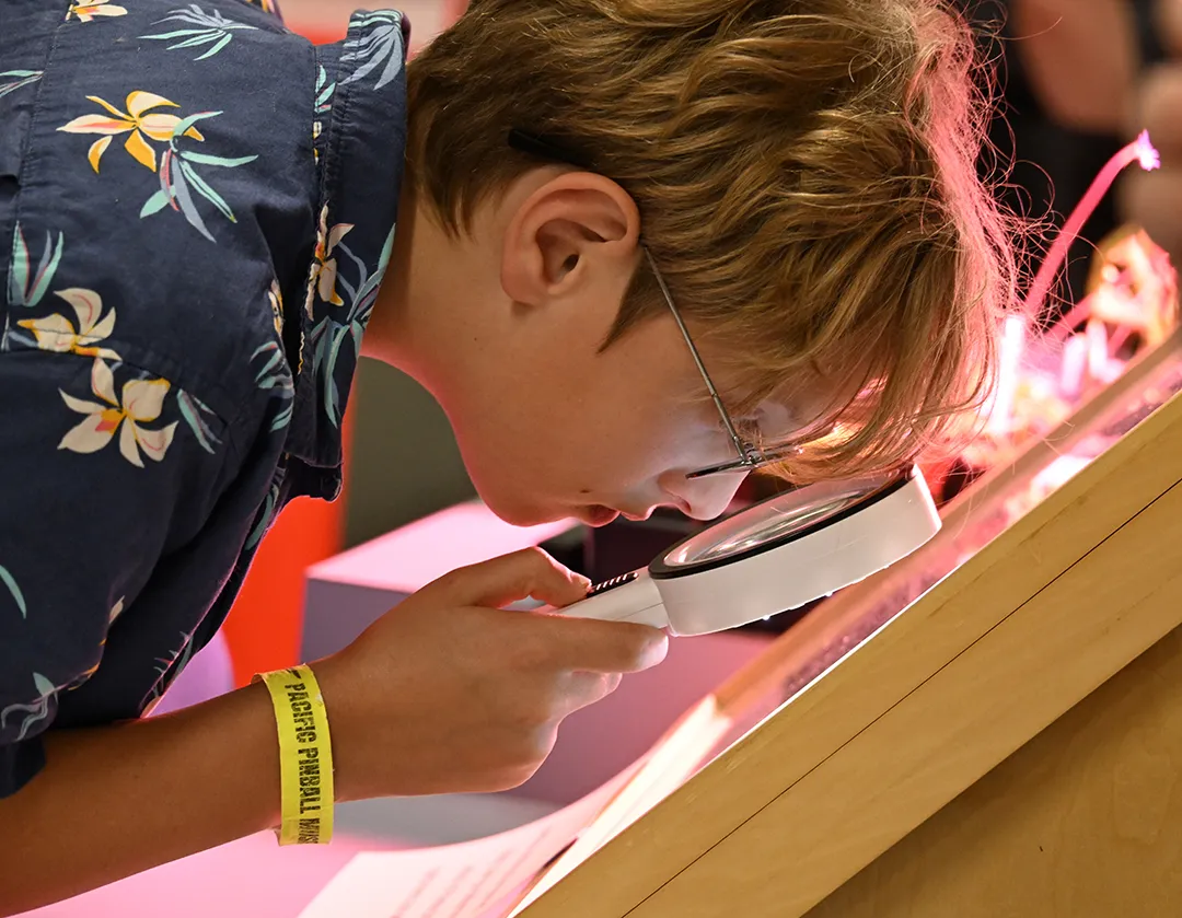Ryan Humphrey, 11, of Oakland, peers at an arachnid specimen at the Bohart Museum open house. (Photo by Kathy Keatley Garvey)