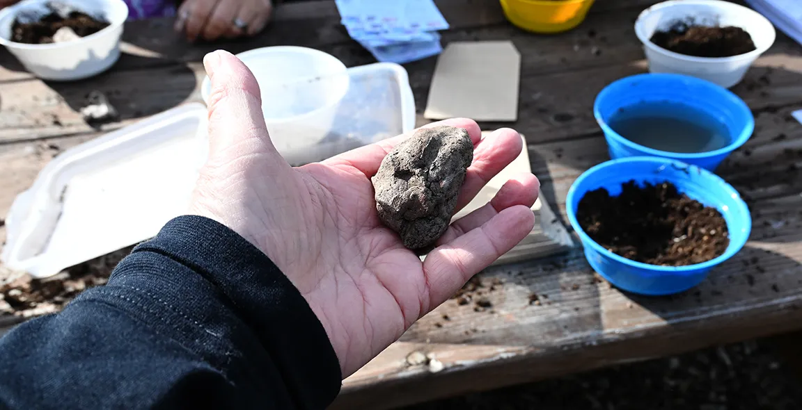 A hand holds a seed cookie.