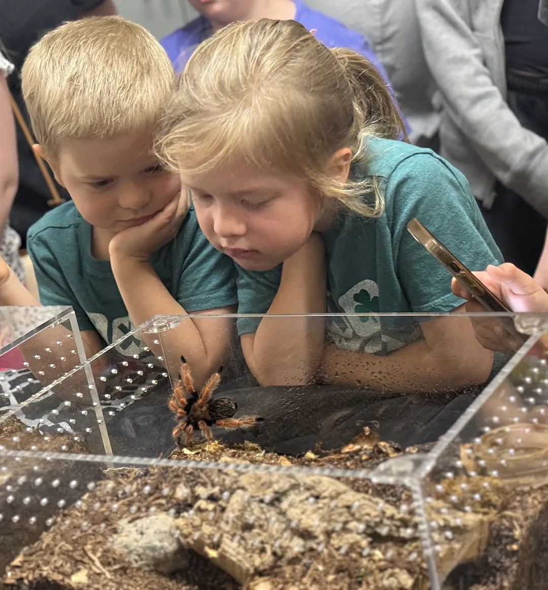 Dorothy Patton, 8, and her brother Lincoln, 6, of Woodland, watch the feeding.