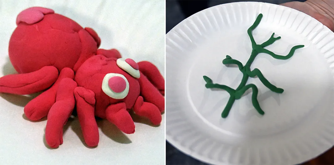 A red spider and a green stick insect (walking stick).