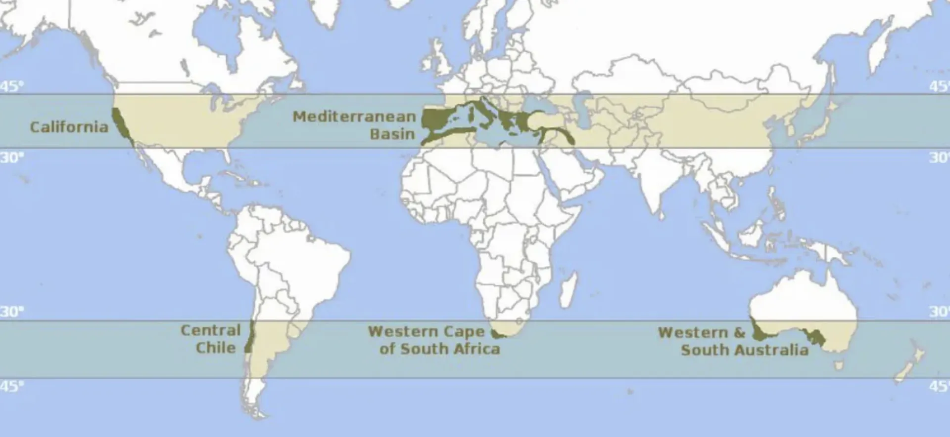 Map of the Mediterrean Climate areas 