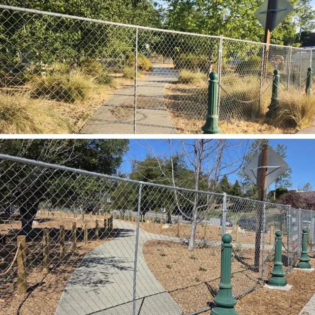 Fotos de un lote invadido por malezas y basura y otra del mismo después de ser limpiado y plantado con arbustos.