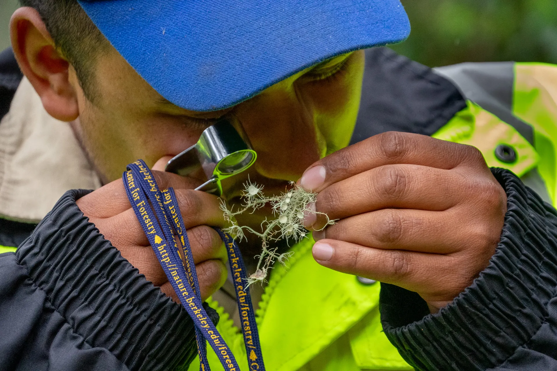 Participant in a UC California Naturalist course examines lichen using a hand lens