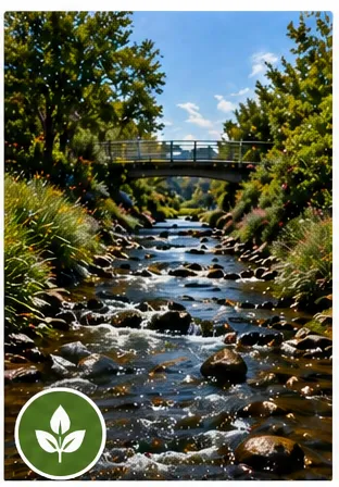 Urban stream with flowing water, rocks, and vegetation along the banks.